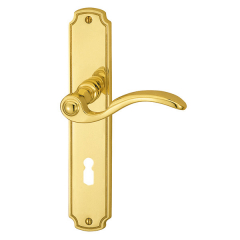 Rica long plate fitting BB polished brass